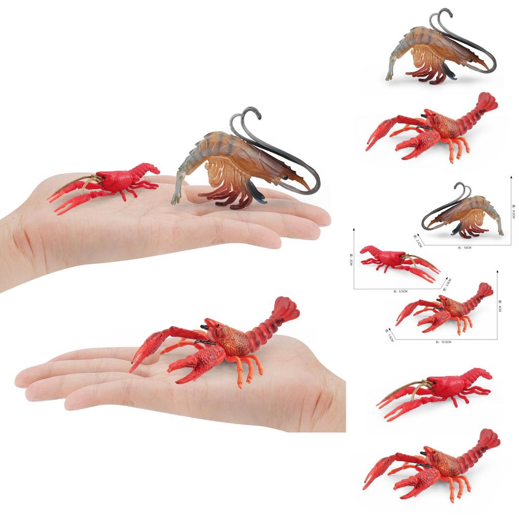 Detailed Plastic Lobster And Shrimp Models For Realistic Aquatic Themed Decor