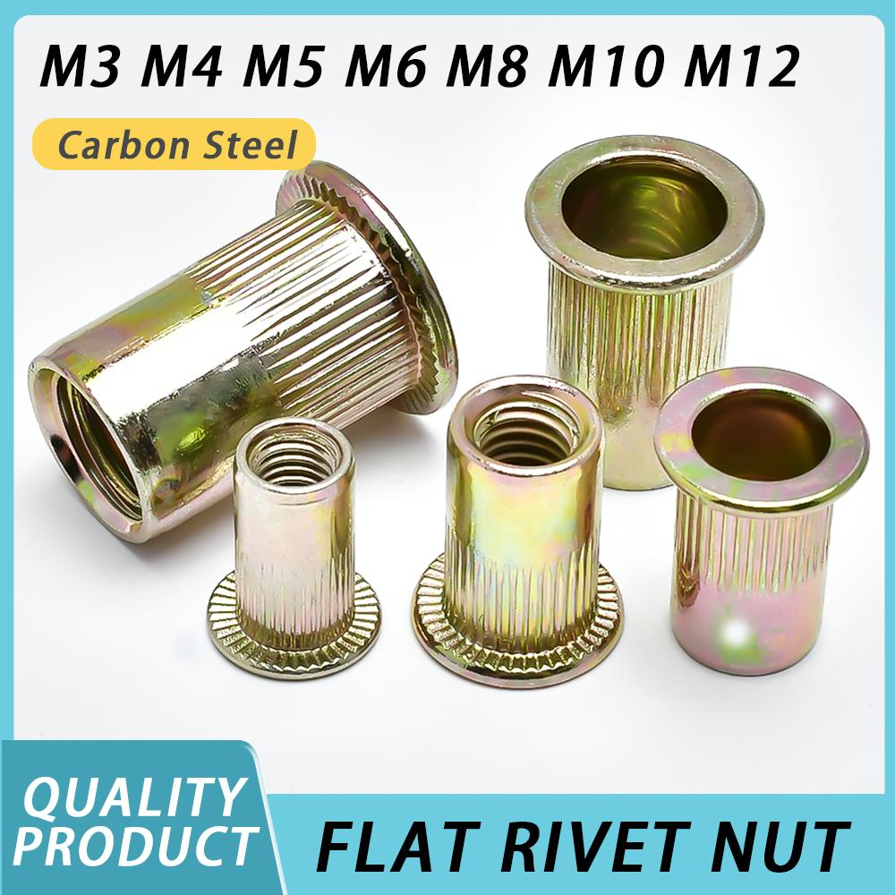 

5-50pcs Flat Rivet Nut M3 M4 M5 M6 M8 M10 M12 Galvanized Carbon Steel Flat Head Threaded Rivet Insert Nutsert Cap Rivets Nuts M3 (10pcs)