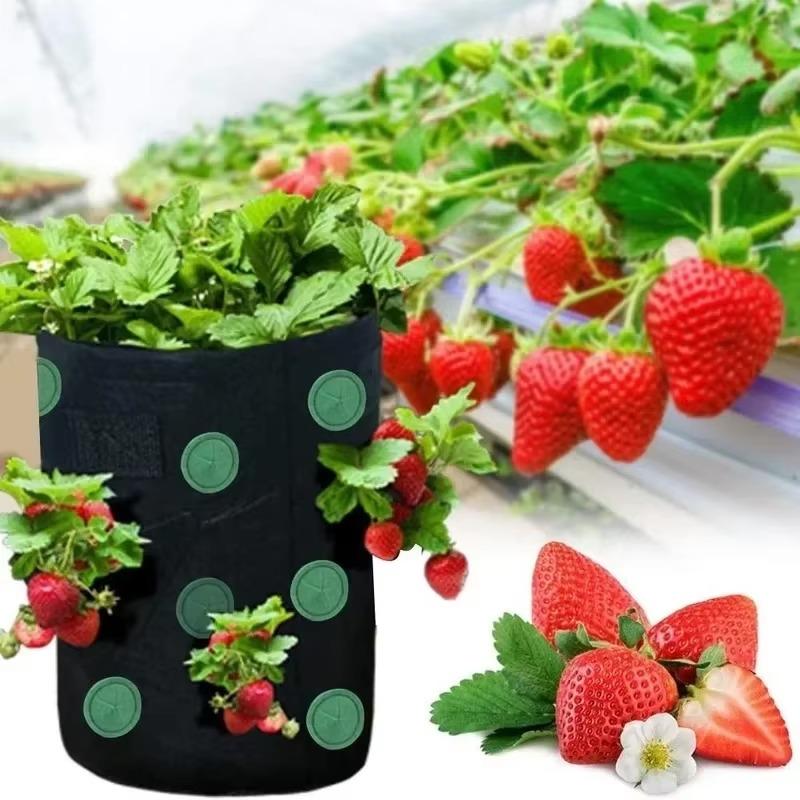 New Multi-Function 13 Holes Felt Hanging Tomato Grow Bag Planter Strawberry Vegetable Flower Plant Grow Bags Garden Plant Pot