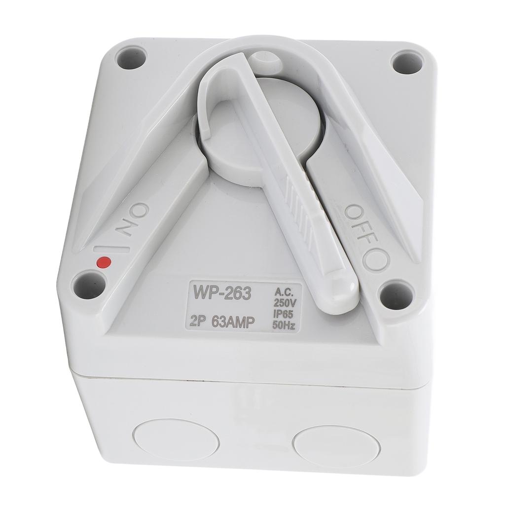 Enclosed Motor Disconnect Switch AC 63A 2P IP65 Water Proof Safety Isolation Switch for Generator