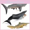 Marine Life Pvc Model Collection With Realistic Shark And Whale Shapes For Learning And Decor