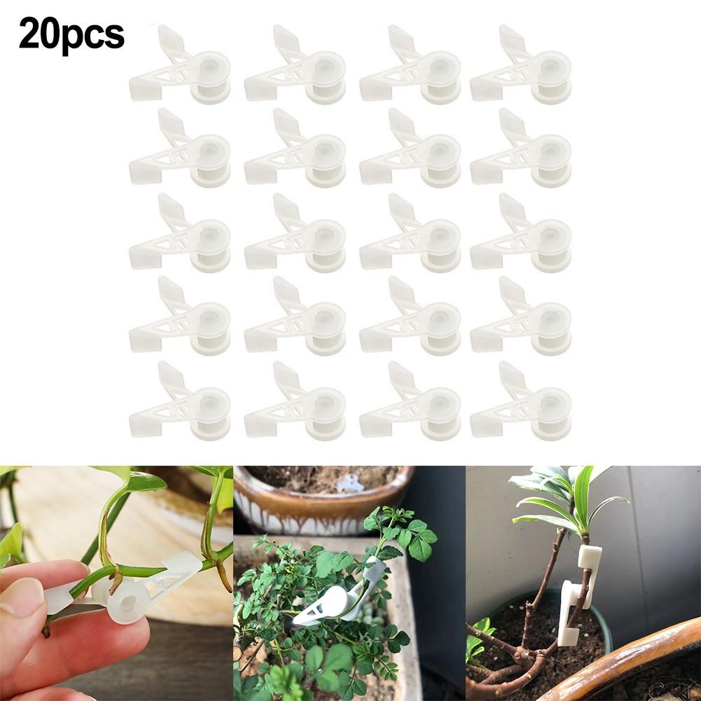 Plant Branch Bender 360 Degree 4*1cm/1.57* 0.4 Inch Clips