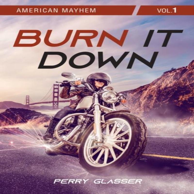 Burn It Down by Perry Glasser Paperback Book 9781771838566