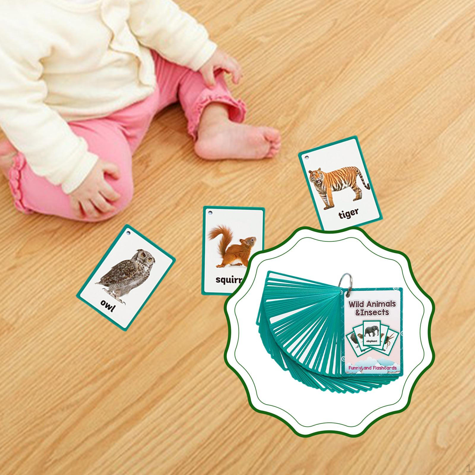 48x Animals Flash Cards Learning Toys Teaching Kids Gifts Memory Pocket English Flashcards for