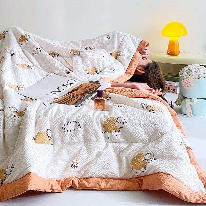 Plover Four Seasons Seersucker Cotton Quilt