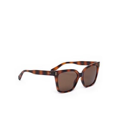 Polaroid C Sunglasses