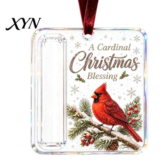 Personalized Holiday Cash Container Christmas Gift Ornament, Clear Acrylic Money Holder, Xmas Reusable Keepsake Tree Hanging Decoration, Funny Ways To