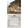 Funny 2026 Cats Buttholes Calendar 12 Monthly Funny Cat Tail Wall Calendar Monthly & Daily Planner For Living Room Bedroom