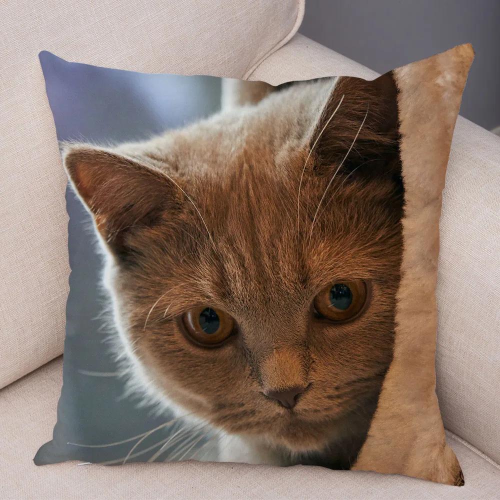 Russian Blue British Shorthair Cushion Cover Decor Cute Cat Pet Animal Pillowcase Soft Plush Pillow Case for Car Sofa Home