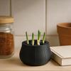 Countertop Scallion Planter Hydroponic Regrow Station with Detachable Lid Kitchen Regrowing Planter for Easy Scallion Regrowth
