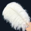 40-45cm High-Quality Thin Ostrich Feathers for Wedding Decor, DIY Crafts, and Stage Costumes