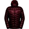 Lumina 200 Down Jacket