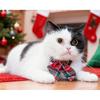 Christmas Cat Collar with Bow Tie Flower Sailor Bowtie Breakaway Safety Detachable Plaid Kitten Cats Pet Cute B Sailor Bow-Red
