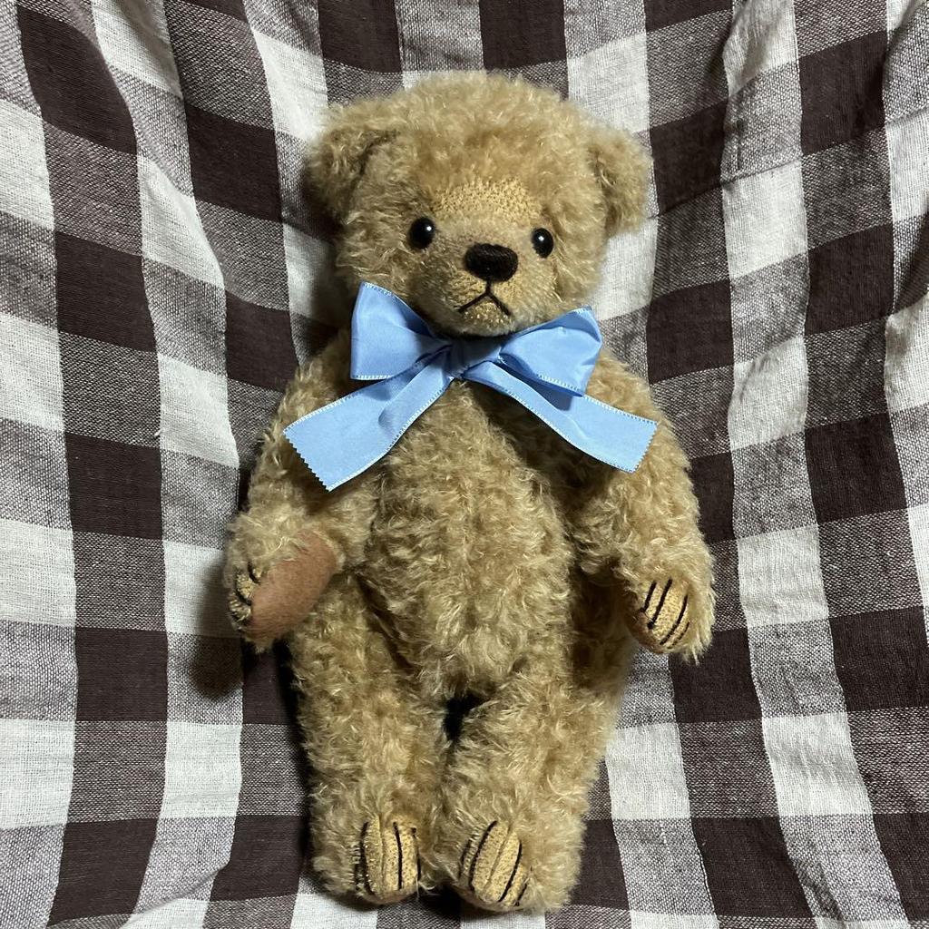 [USED] Wood Wool Stuffed Teddy Bear