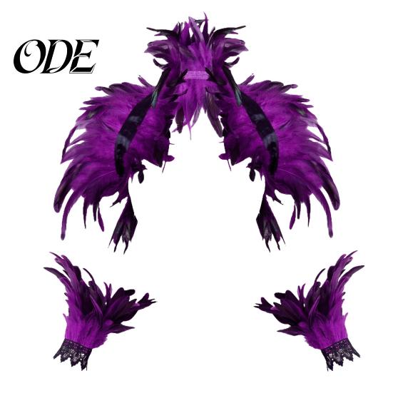 Feather Shawl Bracelet Set 1 Fake Collar with Wrist Ring Gothic Style Imitation Angel Wings Hollow Out Lace Unisex Model Stage Show Performance
