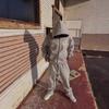 Streetwear Y2K Thorn Hoodie Sweatpants Set Trendy Printed 2-Piece Young Adults