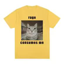 Rage Consumes Me Funny Cat Meme Graphic T Shirt Fashion Vintage Short Sleeve T-shirt Men Women Casual Cotton Oversized T-shirts 7