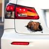 Rhodesian Ridgeback 3D Bryt Muren Bildekal, Vattentäta Vinylmaterial Tillbehör, Intressant För Bilar, Lastbilar, Motorcyklar, Väggar