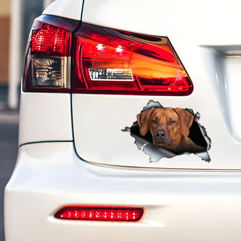 Rhodesian Ridgeback 3D Bryt Muren Bildekal, Vattentäta Vinylmaterial Tillbehör, Intressant För Bilar, Lastbilar, Motorcyklar, Väggar