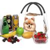 Cute Pomeranian Drawing Lunch Bags Insulated Bento Box Lunch Tote Picnic Bags Cooler Thermal Bag for Woman Kids School