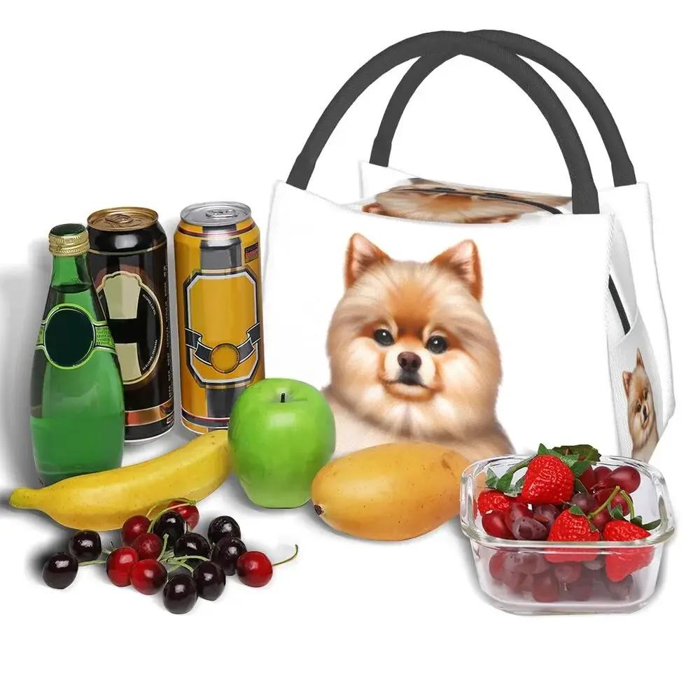 Cute Pomeranian Drawing Lunch Bags Insulated Bento Box Lunch Tote Picnic Bags Cooler Thermal Bag for Woman Kids School