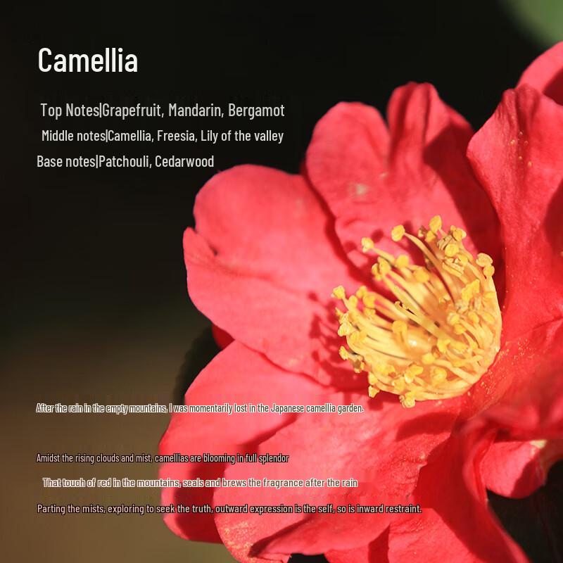 Tesori D'oriente Camellia Bath & Body Set