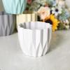 Flower Pot for Indoor Plants, Decorative Plant Container for Home and Garden Decor