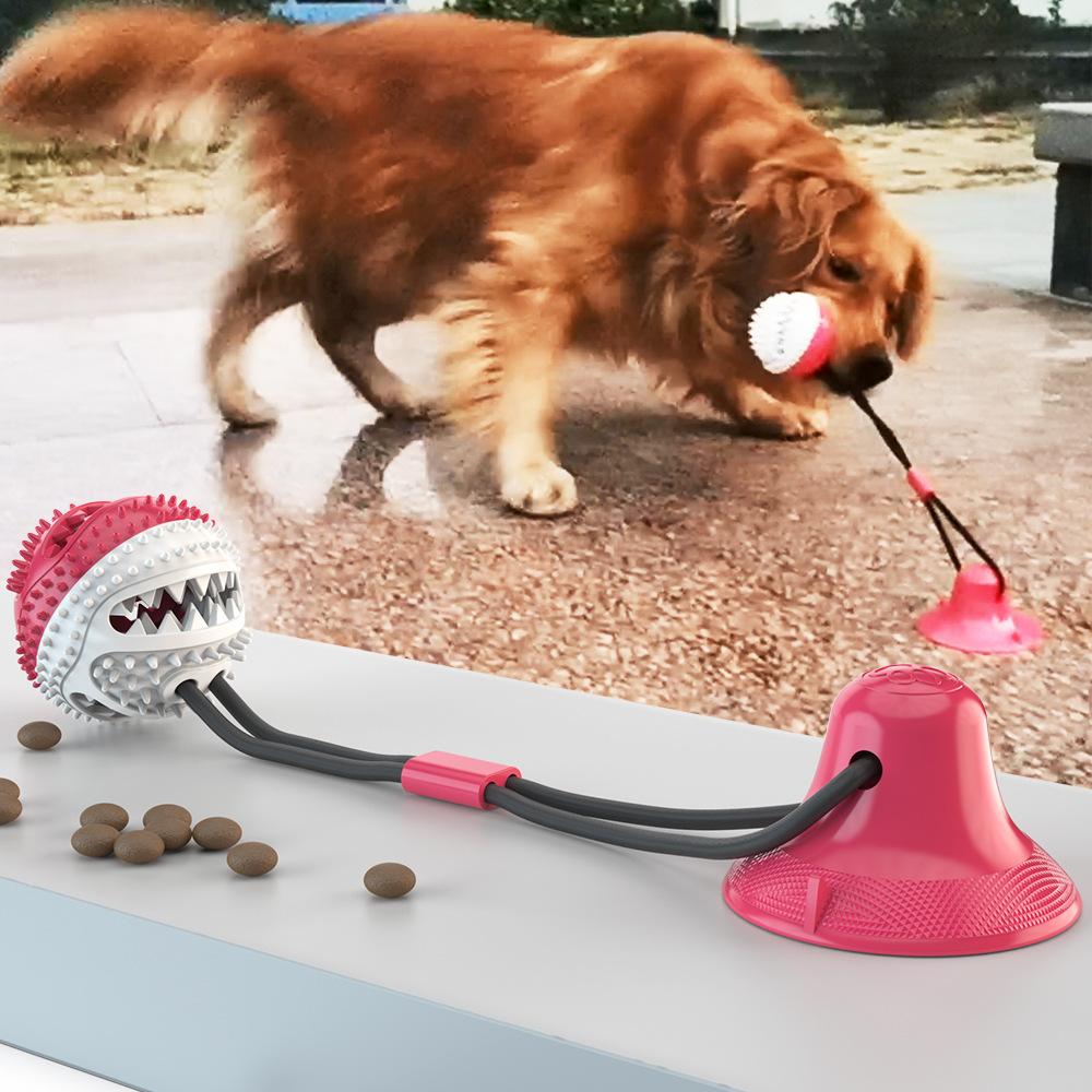 Pet Mola Pet Supplies Teeth Grinding Device Resistant To Bite Ball Suction Cup Dog Toys