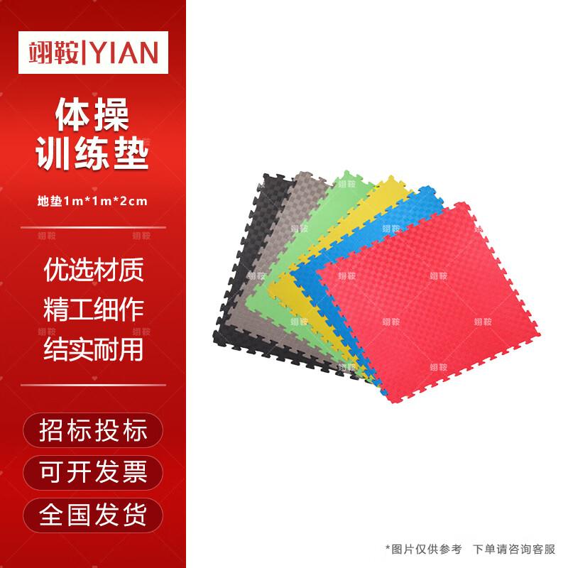 Yi an Interlocking Foam Training Mat
