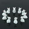 15 Pcs Lovely Miniature Mini Rabbit Resin Figurine Animal Decor Garden Fairy Ornament Flower Plant Pot Home