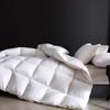 Bainian Xinyue Hotel 70% White Duck Down Comforter