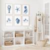6 Pcs Blue Coastal Wall Art Watercolor Starfish Conch Jellyfish lobster Painting Cute Sea Life Poster Print for Modern Waterfront Themed Home