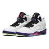 Air 5 Retro Alternate Bel-Air DB3024-100
