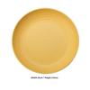 Durable Picnic Tableware Plates Set of 4 Reusable Plastic for Camping Outdoor Beach Barbecue Party