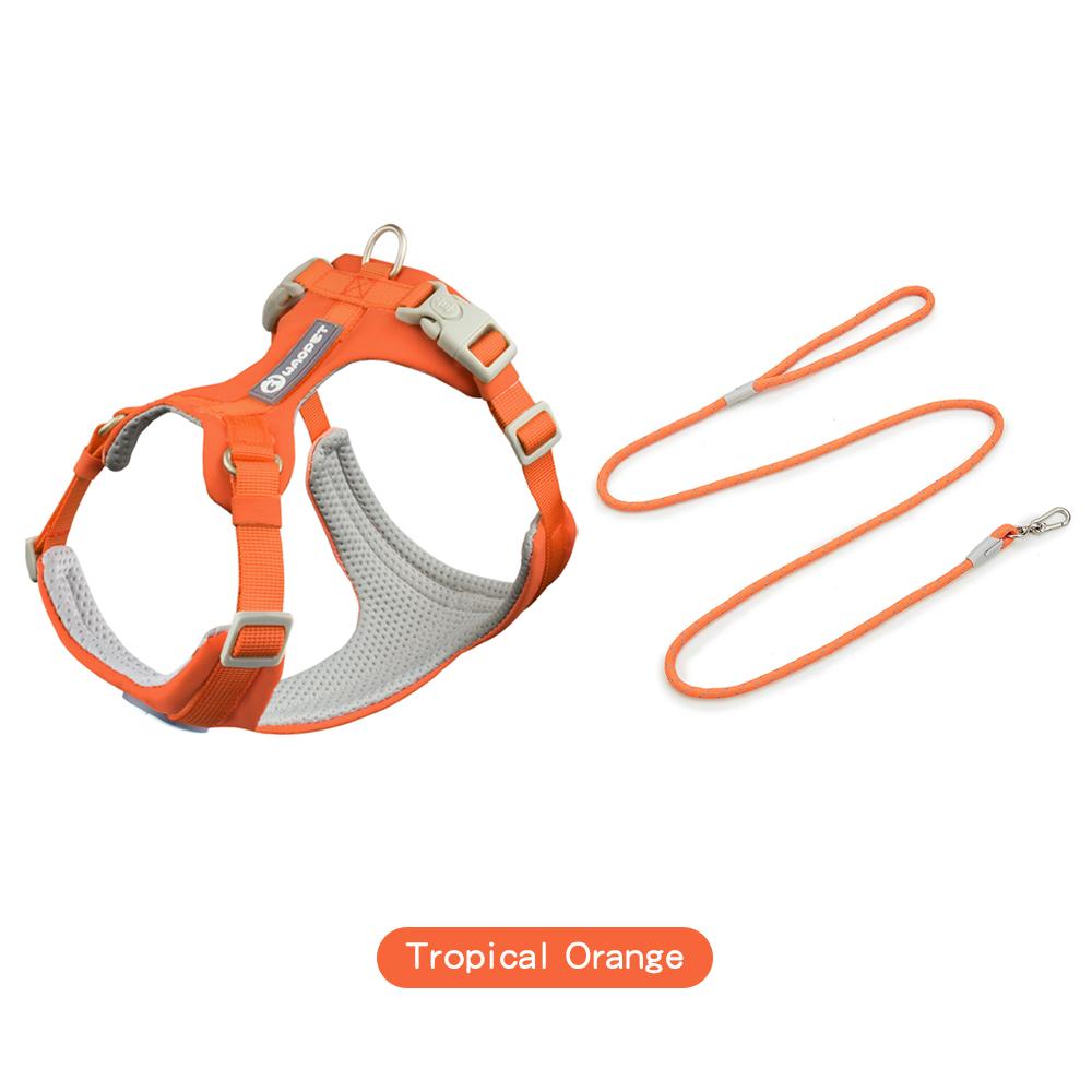 Walking Dog Harnesses Set With Leashes Pet Dog Cat Gifts Vest For Small Medium Large Dogs Rope Set Outdoor Training Pet Supplies