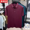 Hengyuanxiang Men's Silk Blend Business Casual Polo Shirt