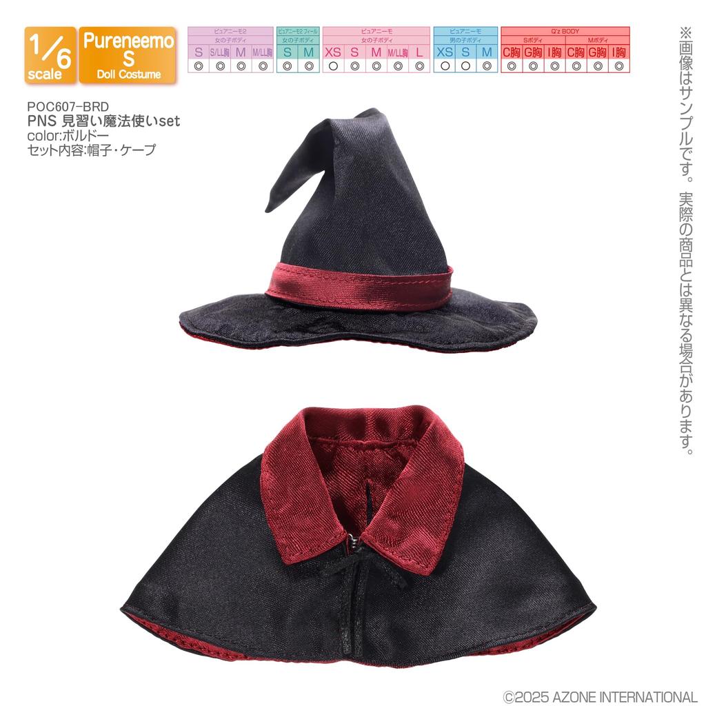 Azone International PNS Apprentice Wizard Set Bordeaux Scale Wear 1/6