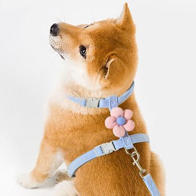 Cute Adjustable Dog Harness Leash Breathable Cartoon Pet Chest Straps Outdoor Pet Accessories Teddy