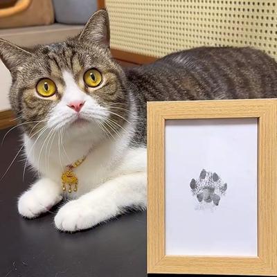 Evcil Hayvanlar İçin Anı Pati Baskı Kitleri ve Bebek Ayak ve El Baskıları Hatıraları Güvenli Mürekkepli Kağıt ve Fotoğraf Çerçeveli