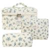 Olesew Makeup Pouch Includes Makeup Cosmetic Toiletry Portable Cosmetic Travel Pouch with Brush Small Item for Women 3-Piece Set, Pouch, Pouch, Pouch,