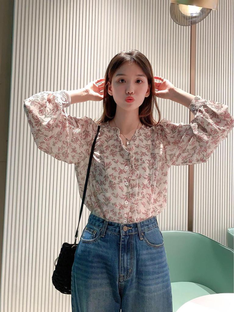 Spring/Autumn 2025 Korean Floral Chiffon Bubble Sleeve Blouse - Women's Long Sleeve Elegant Top