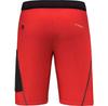 Salewa Шорты Pedroc 3 DST