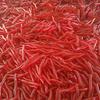 Fishy Bloodworm Soft Lure: Bionic Imitation Earthworm Bait