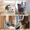 Natural Catnip Toys Silvervine Balls Teeth Cleaning Dental Wall Treats Extra Cat Energy Ball Edible Cat Lick Healthy Kitten Chew