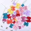 Resin Bow Jewelry & Decorative Accessories for Phone Cases, Hair Clips, and Shoes