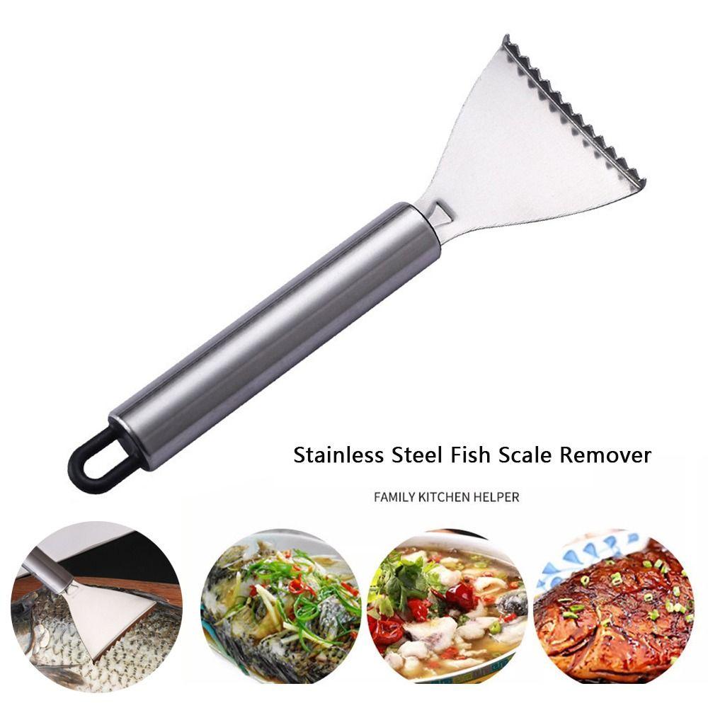Smooth Handle Fish Scale Scraper Easy Maneuverability Seafood Tools  Kitchen Tools