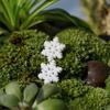 10Pcs New Craft Accessories Resin Decor Landscape Ornament Snowflake Christmas Decoration Plant Pot