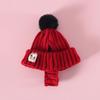Knitted Dog Hat Cat Pompon Hat Winter Warm Hat with Ear Holes for Small Dogs And Cats Daily Wear Photography Prop