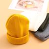 Ladies Casual Cap Woman/Men Female Beanie Caps Knitted Beanies Warmer Bonnet Winter Autumn Hats