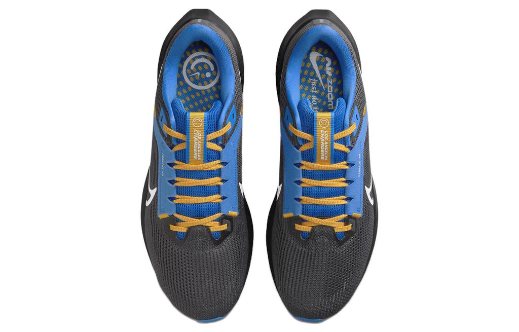 Nike Pegasus 40 Los Angeles Chargers DZ5948-001
